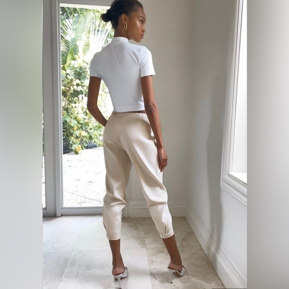 ARITZIA Babaton Linen Blend Dexter Jogger XXS - Picture 3 of 11